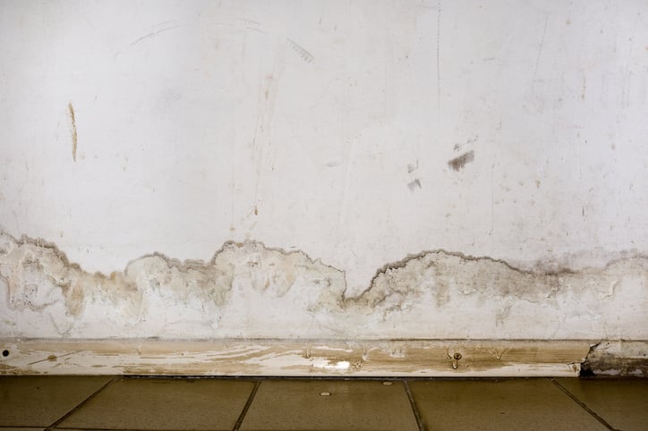 Measure moisture discount in drywall
